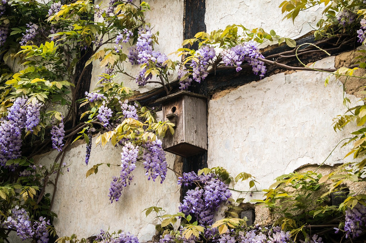 Vogelfutterhaus im Hausgarten